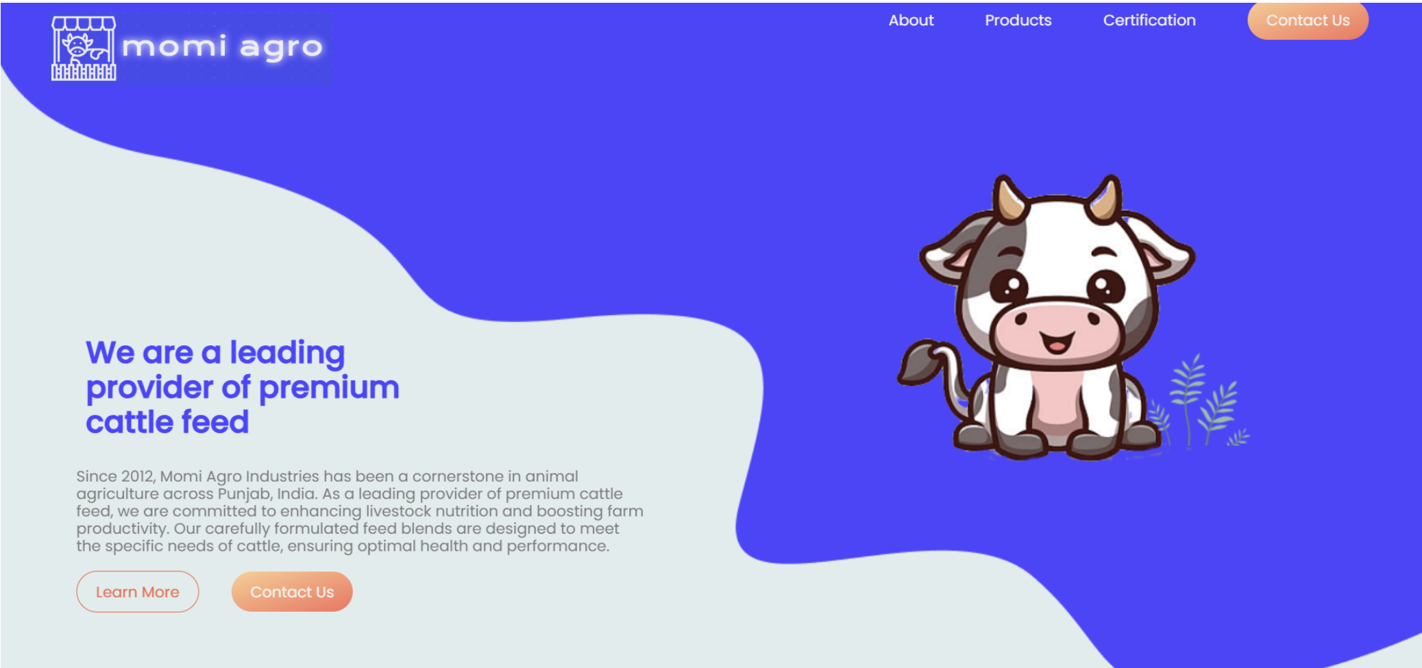 Business Website